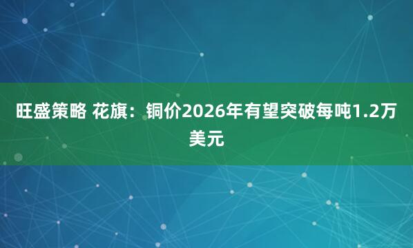 旺盛策略 花旗：铜价2026年有望突破每吨1.2万美元