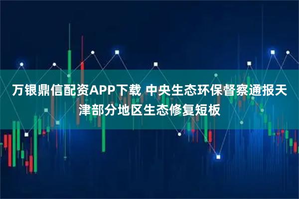 万银鼎信配资APP下载 中央生态环保督察通报天津部分地区生态修复短板