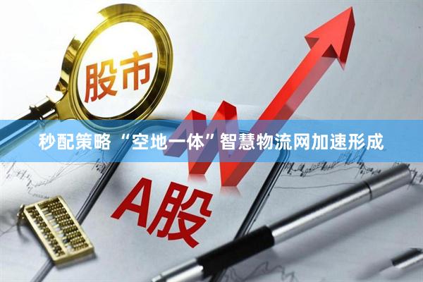 秒配策略 “空地一体”智慧物流网加速形成